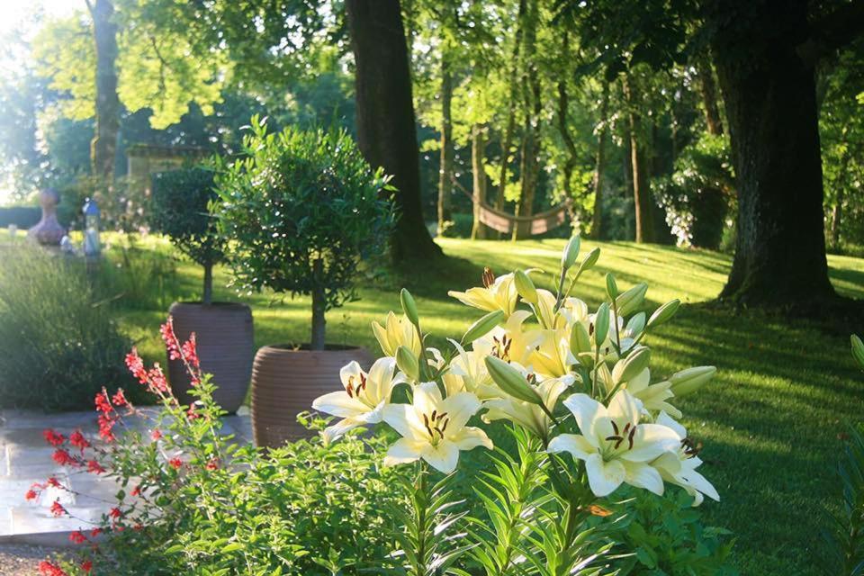 Les Hauts De Saulies Vers  ภายนอก รูปภาพ